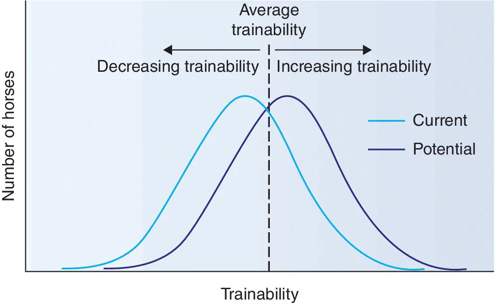 Graph of number of horses vs. trainability with 2 overlapping bell curves for current and potential, with a vertical line at the intersection labeled average trainability.