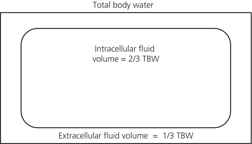 c1-fig-0001