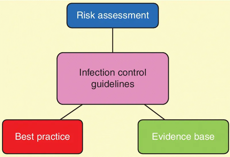 Block diagram displaying four boxes for risk assessment (top), infection control guidelines (middle), and best practice and evidence base (bottom) that are being linked by lines.