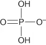 Structural illustration of Dihydrogenphosphate.