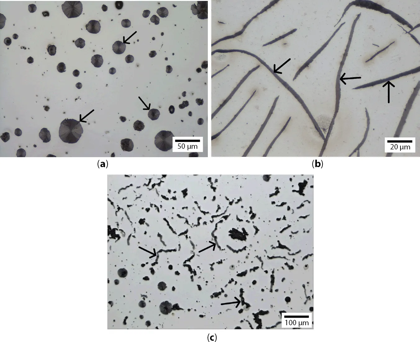 Figure shows examples of three most common morphologies in the commercial cast irons — (a) dotted spheroidal graphite particles in ductile iron; (b) flake graphite particles in gray iron; (c) vermicular graphite particles in compacted graphite iron.