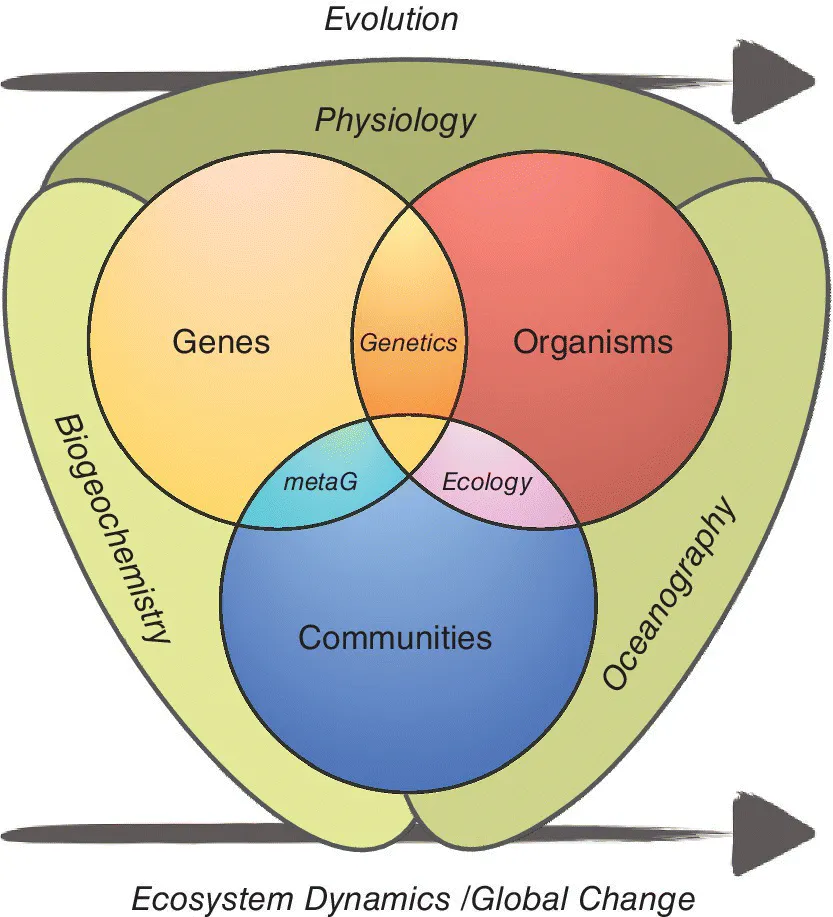 Three-circle Venn diagram of the marine microbial ecology depicting the genes, organisms, and communities surrounded by shaded areas labeled physiology, biogeochemistry, and oceanography.