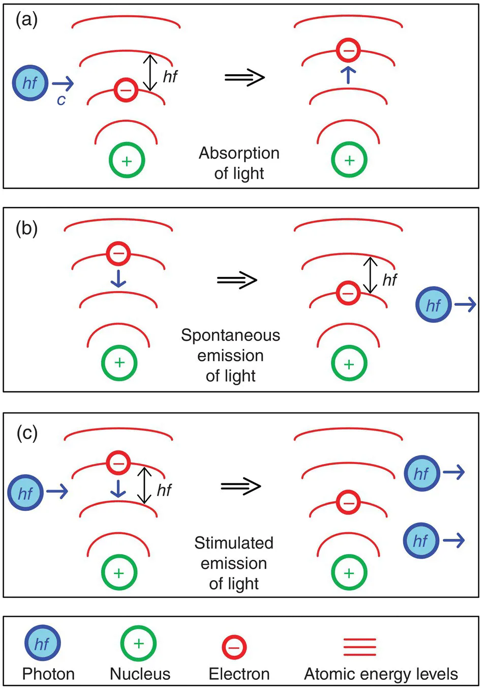 Schematics illustrating absorption (a), spontaneous emission (b), and stimulated emission (c) of light by an atom. At the bottom are symbols of photon, nucleus, electron, and atomic energy levels.