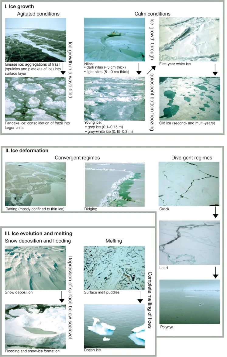 Three process diagrams for I. Ice growth, II. Ice deformation and III. Ice evolution and melting. Each process diagram has digital captures titled and connected by arrows.