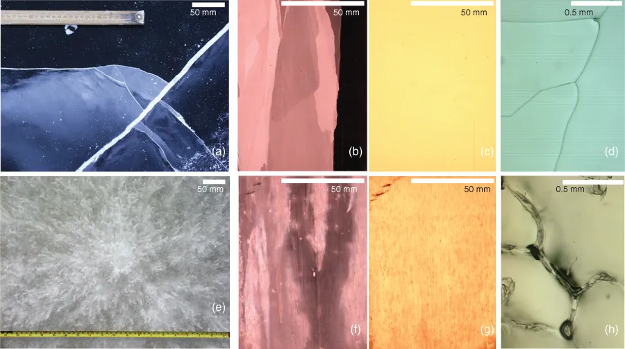 Image described by caption and surrounding text.