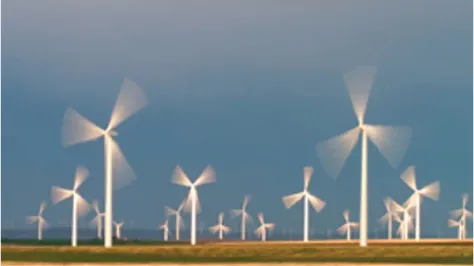 Picture shows giant wind farm equipped with wind turbines which are not renewable, efficient or safe for the environment.
