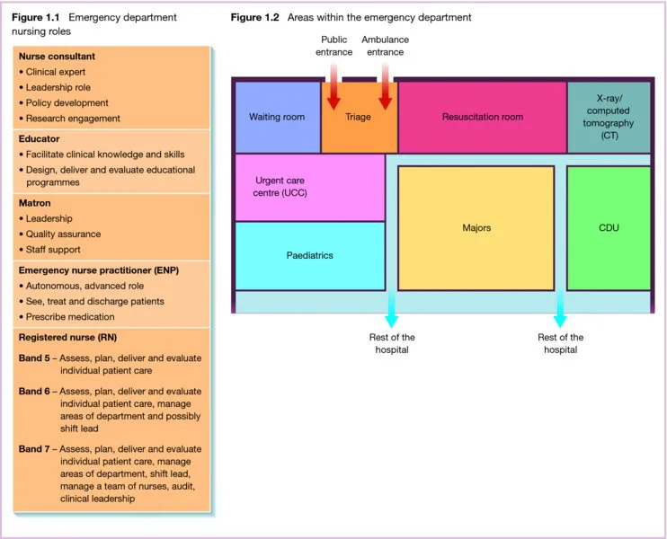 Chart shows emergency nursing department nursing roles which include nurse consultant, educator, matron, emergency nurse practitioner and emergency nurse such as bands 5 to 7.
Chart shows emergency department areas which include waiting room, triage such as public and ambulance entrances, resuscitation room, CT, UCC, CDU, pediatrics, majors and rest of the hospital.