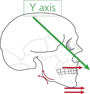 c1-fig-0001