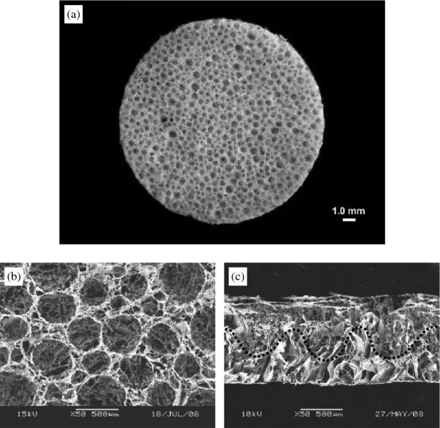 Image described by surrounding text and caption.