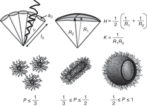 Image described by caption and surrounding text.