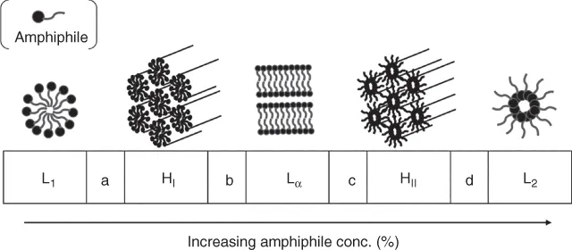 Image described by caption.