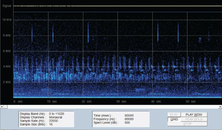 Illustration of A spectrogram from a recording made at site LA00.