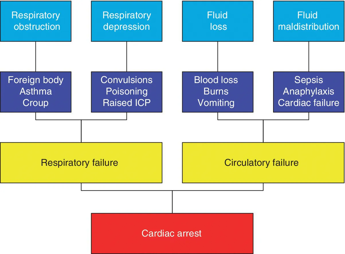 Flow illustrating the pathways leading to cardiac arrest in childhood, displaying blocks labeled with the causes leading to the said disease.