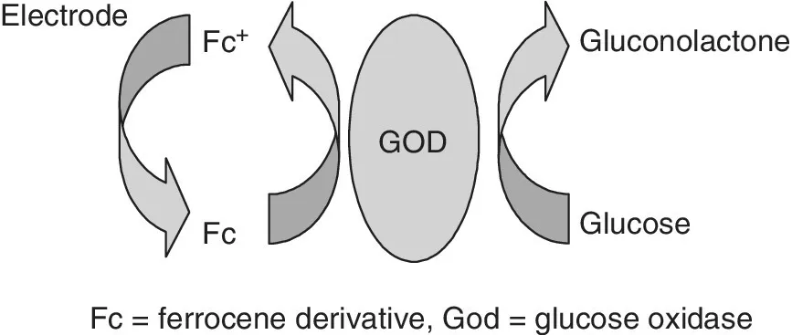 Second-generation glucose biosensor, displaying rotating arrows with labels Fc+ and Fc, oval labeled GOD (glucose oxidase), and right curved arrow with labels gluconolactone and glucose.