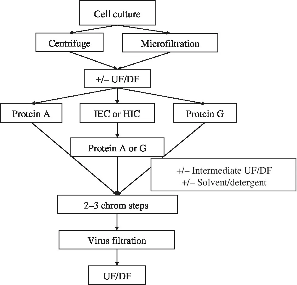 Flow diagram illustrating early mAb purification, with arrows connecting boxes from âCell culture,â to âCentrifugeâ and âMicrofiltration,â to â+/â UF/DF,â to finally âUF/DF.â