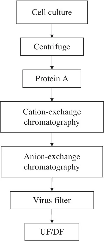 Vertical flow diagram illustrating mAb production platform, with arrows connecting boxes from âCell culture,â to âCentrifuge,â to âProtein A,â all ending with âUF/DF.â