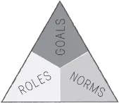 Diagram of The Three Foundations in a triangle split into three with the text Roles and Norms at the bottom, and Goals at the top.
