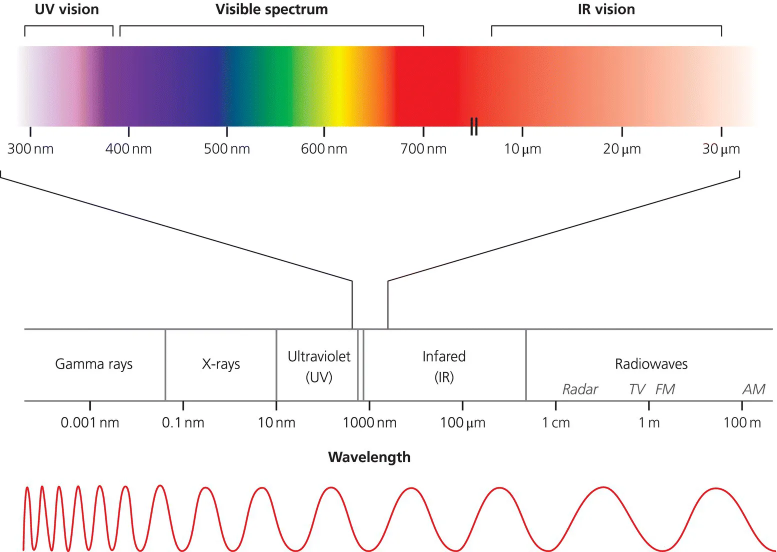 Electromagnetic (EM) spectrum depicting the range of wavelengths from radio waves (low energy) with long wavelength to gamma rays (high‐energy) with short wavelengths. 