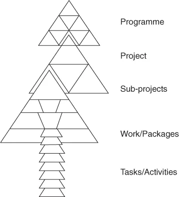 Diagrammatic illustration of a hierarchy to projects determined by their size, complexity, and the inherent risks.