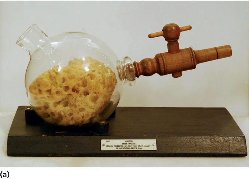 Photo of a replica of an ether inhaler used by William Morton to give the first public demonstration of general anaesthesia.
