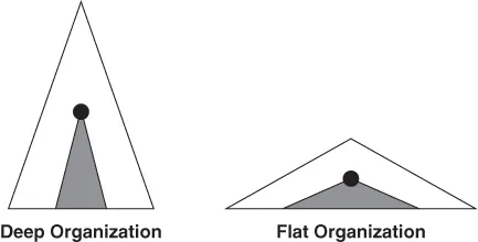 Scheme for Principle of projection.