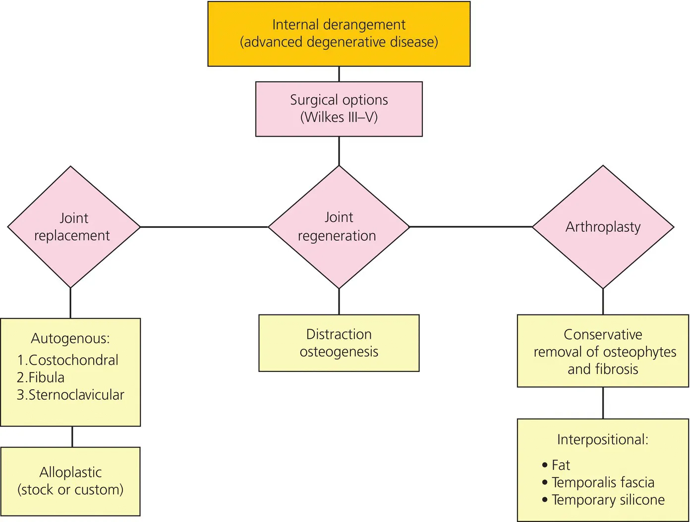 c1-fig-0002