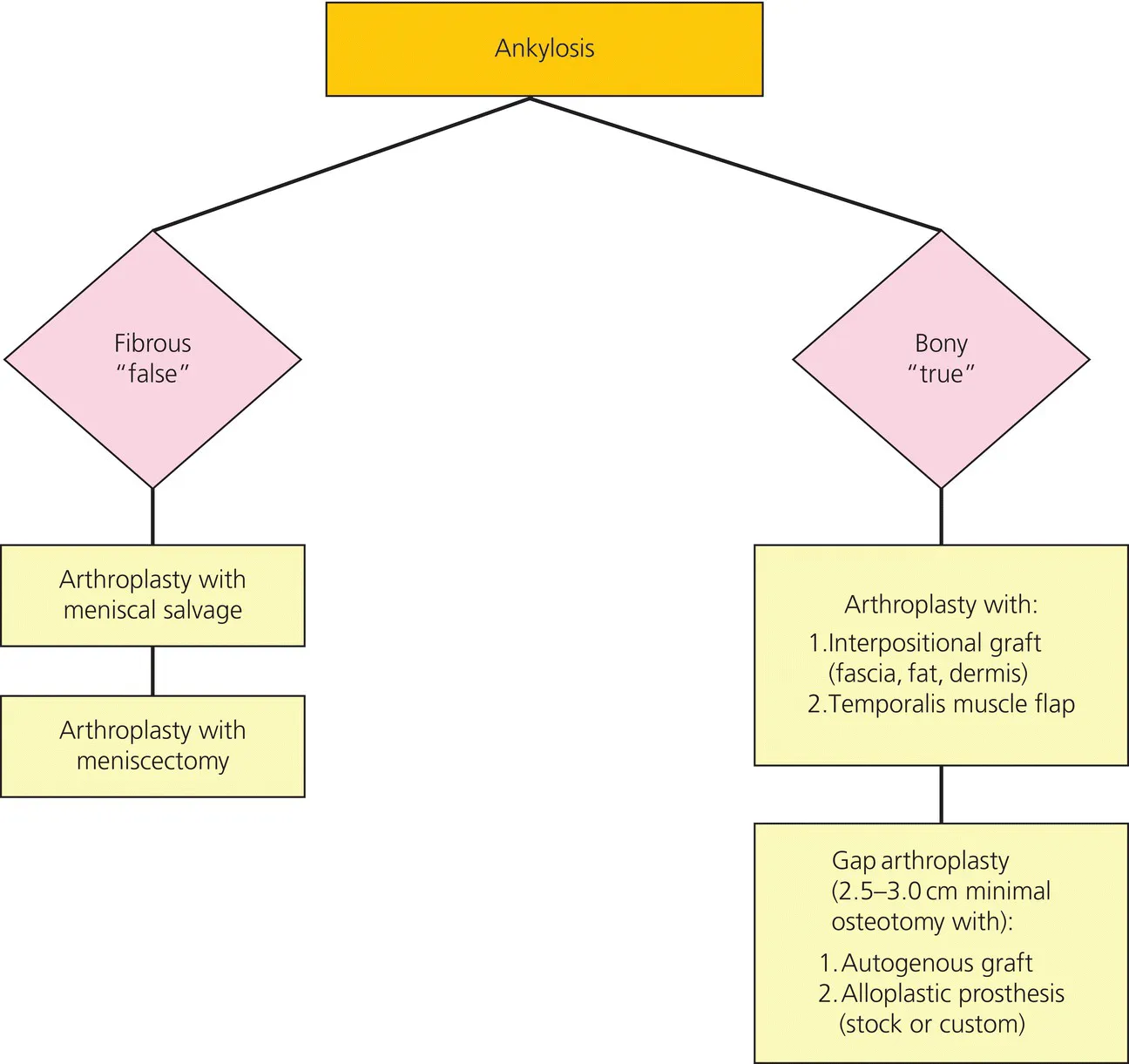 c1-fig-0003