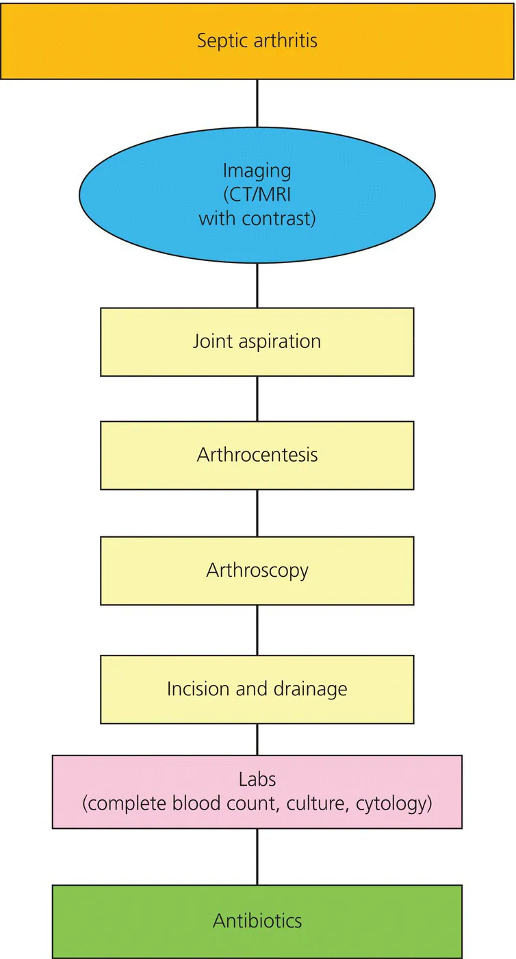 c1-fig-0005