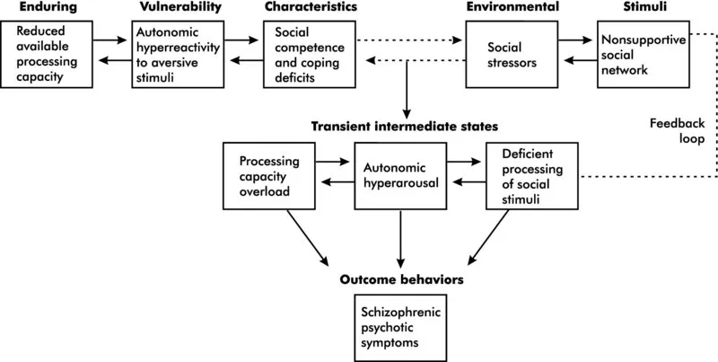 Block diagram shows various stages involved in the development of schizophrenic psychotic symptoms. It includes enduring, vulnerability, characteristics, environmental, stimuli, transient intermediate states and finally the outcome behaviors.