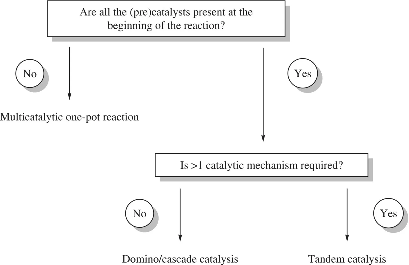 c1-fig-0002