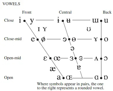 Diagram shows the combinations of IPA vowels along with rounded vowel.