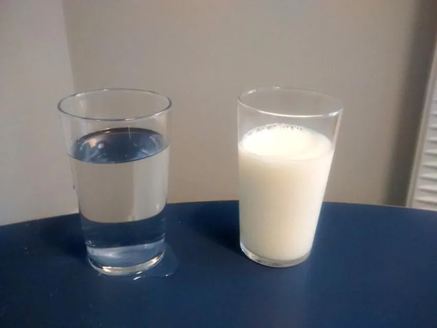 Photo displaying a non-colloidal (water; left) and a colloidal liquid system (milk; right).