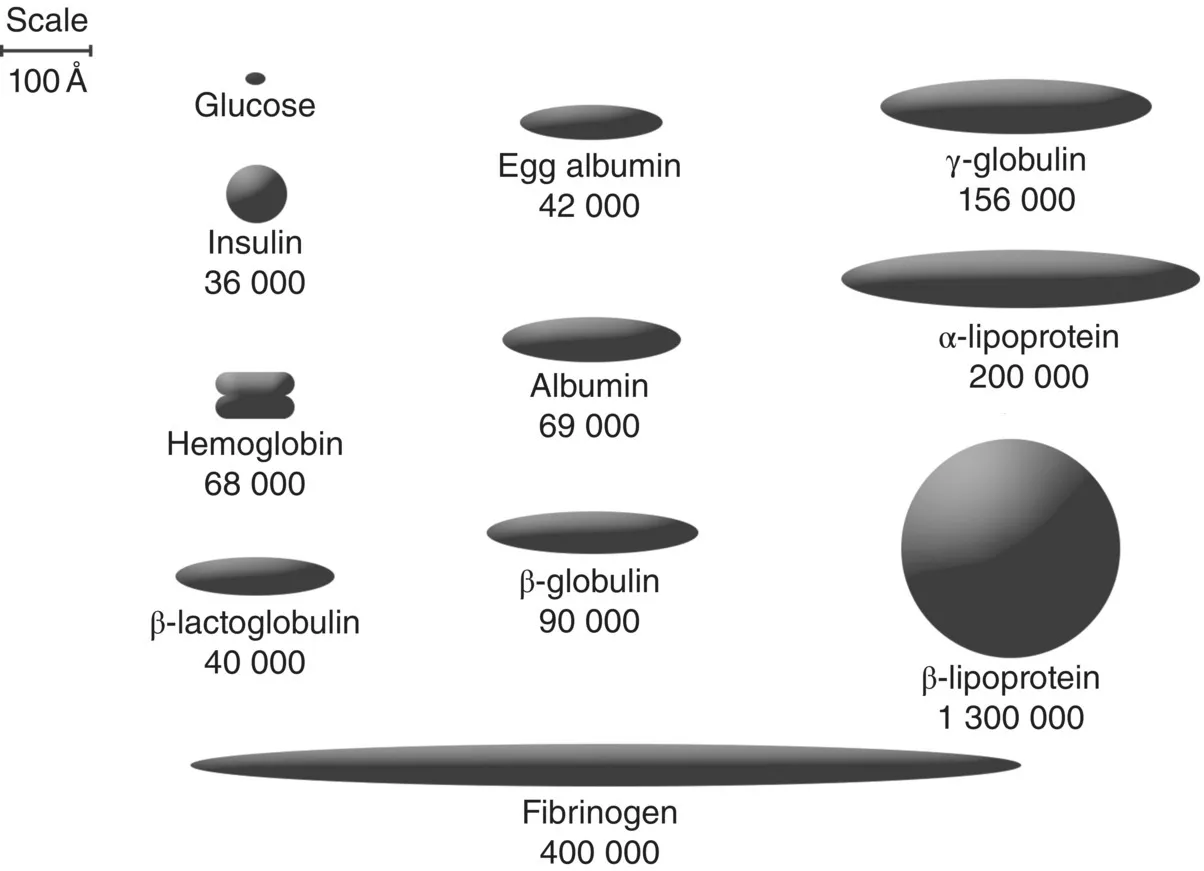 Image described by caption.