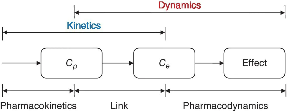 Flow diagram of a drug delivery system starting from Cp, to Ce, and ending to effect with 5 double-headed arrows labeled dynamics, kinetics, pharmacokinetics, link, and pharmacodynamics.
