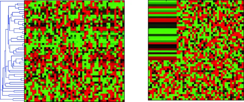 Image described by surrounding text.