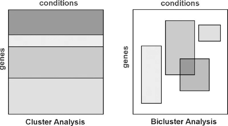 Two blocks on left, right for Cluster, Bicluster analysis has genes on left side, conditions on top. Left divided into four horizontal portions. Right has four subsets, one intersect.