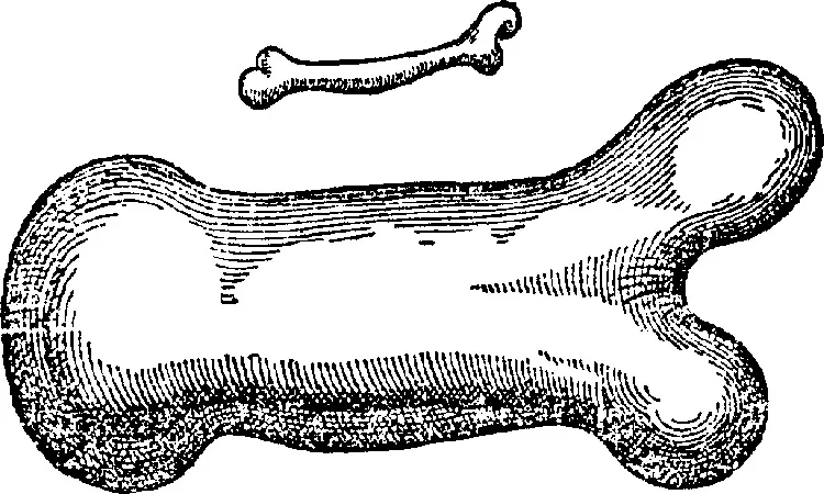 Image described by caption.