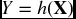 numbered Display Equation