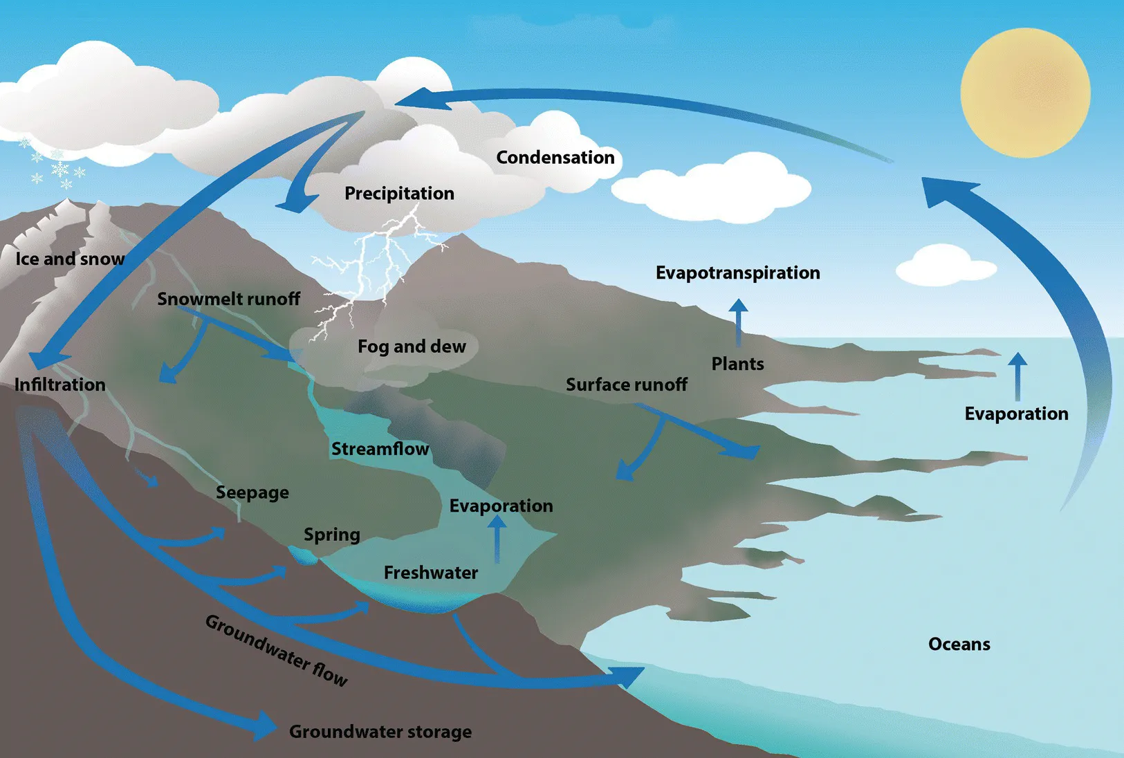 Schematic of water cycle as water undergoes evaporation in the presence of the sun, condensation and precipitation in the clouds as temperature cools, and infiltration back to earth through rain, sleet, or snow.