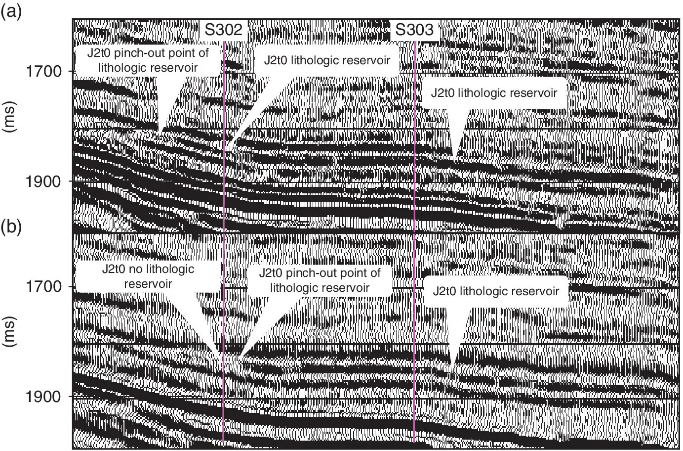 2 Seismic images displaying the comparison between conventional seismic profile (top) and relative fidelity seismic profile (bottom) through wells S302 and S303.