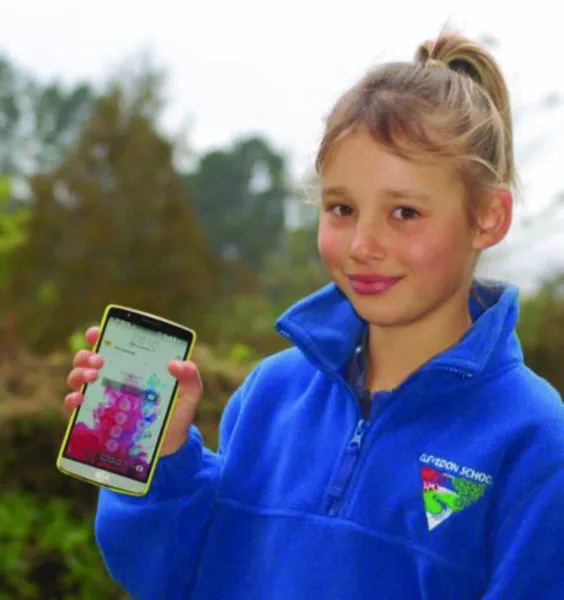 Image described by caption.