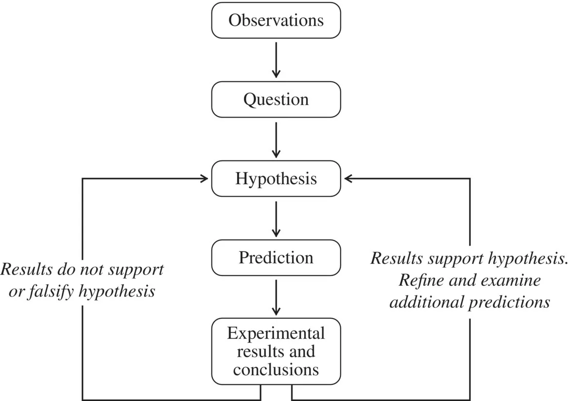 Flowchart of the scientific method. It begins with observation, then question, hypothesis, prediction, then experimental results and conclusions. If results do not support hypothesis, return to hypothesis.