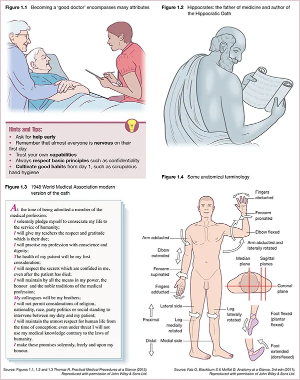 Diagram shows old person on bed and doctor checking, making note.