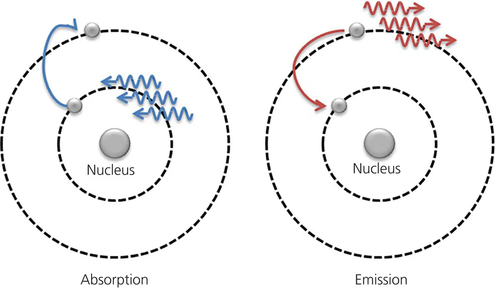 c1-fig-0002