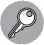 Icon of key to introduce Key Concept feature