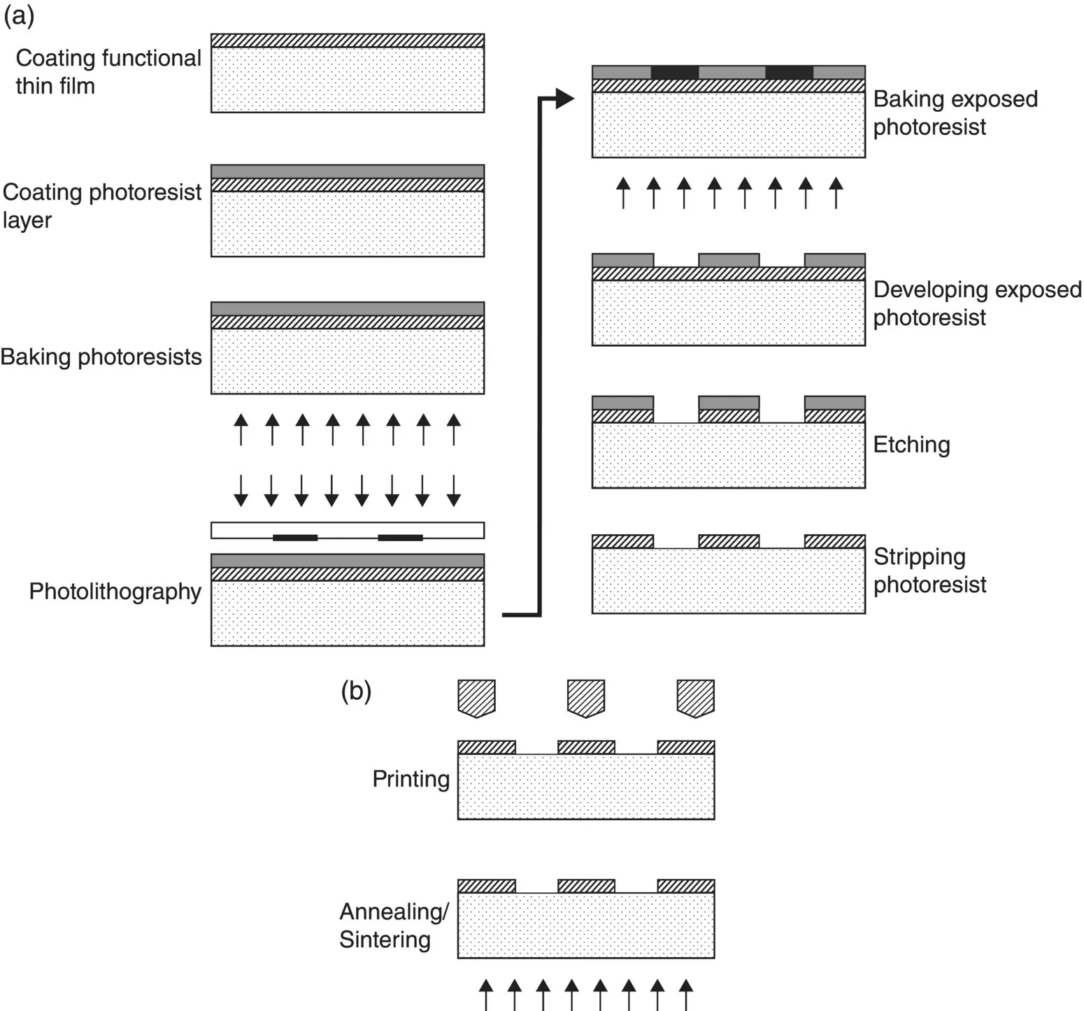 Image described by caption.