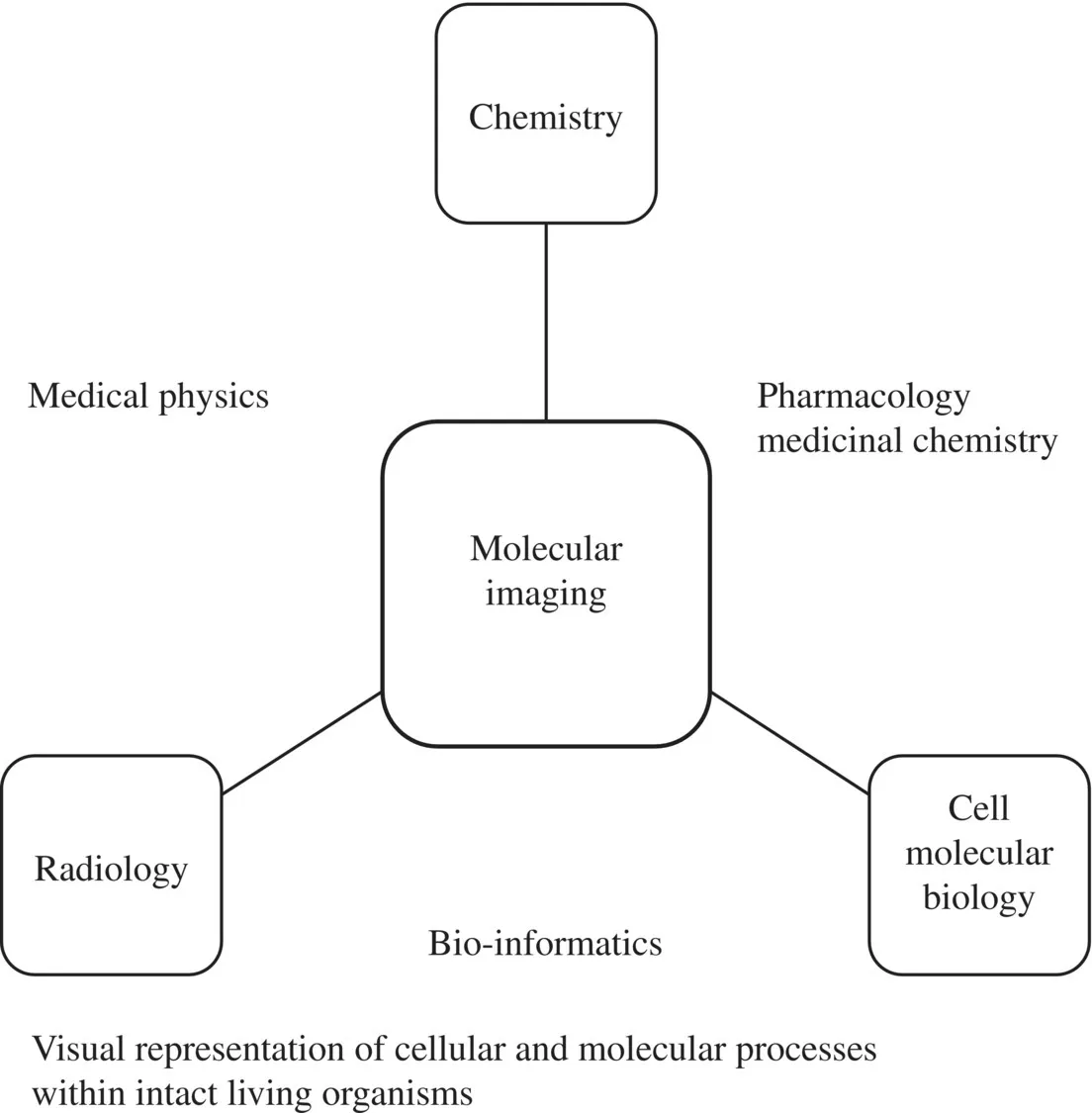 c1-fig-0001