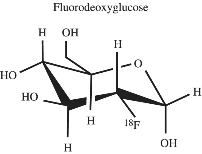 c1-fig-0004